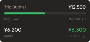 Budget tracker showing shared budget